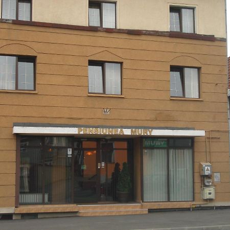 Pensiunea Mury Braşov Esterno foto